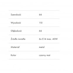 Róża 6
