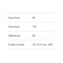 Róża 12