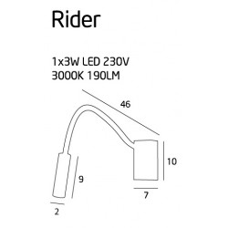 Rider