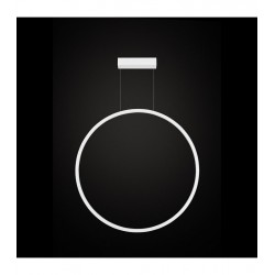 Echo Vertical