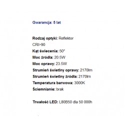 RAFTER points LED trim wpuszczany