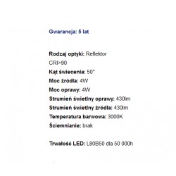 RAFTER points LED trim wpuszczany