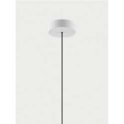 Rozeta SINGLE MINI