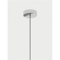 Rozeta SINGLE MINI